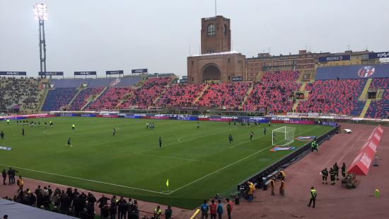สนามแข่ง Stadio Renato dallAra